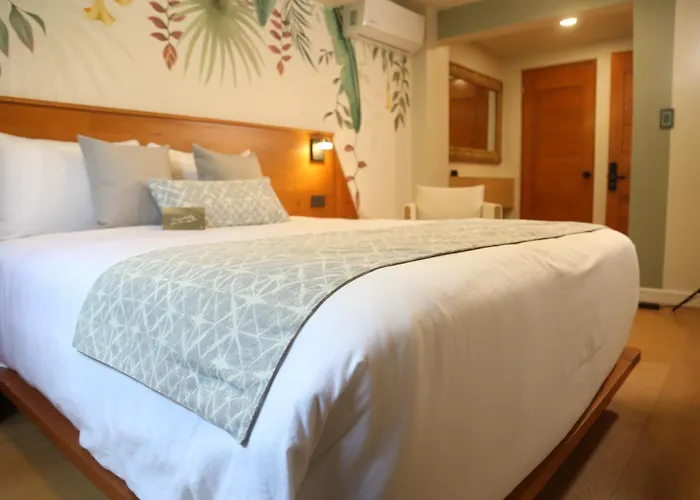 Boutique Casa Flor De Café Hotel